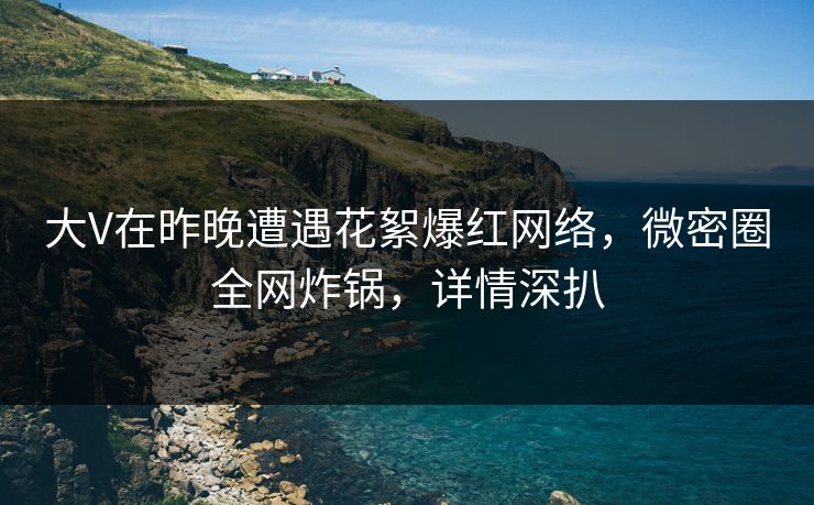 大V在昨晚遭遇花絮爆红网络，微密圈全网炸锅，详情深扒