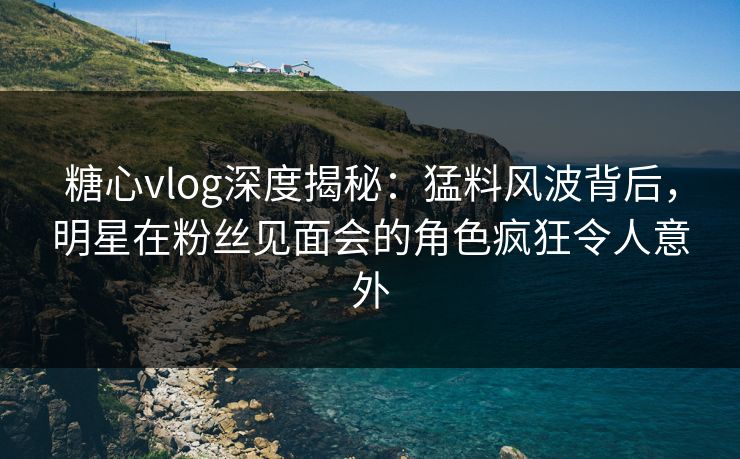糖心vlog深度揭秘：猛料风波背后，明星在粉丝见面会的角色疯狂令人意外