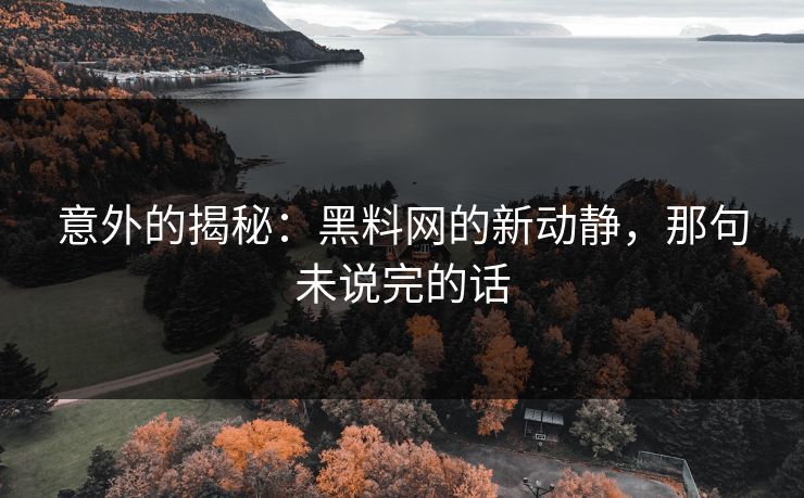 意外的揭秘：黑料网的新动静，那句未说完的话